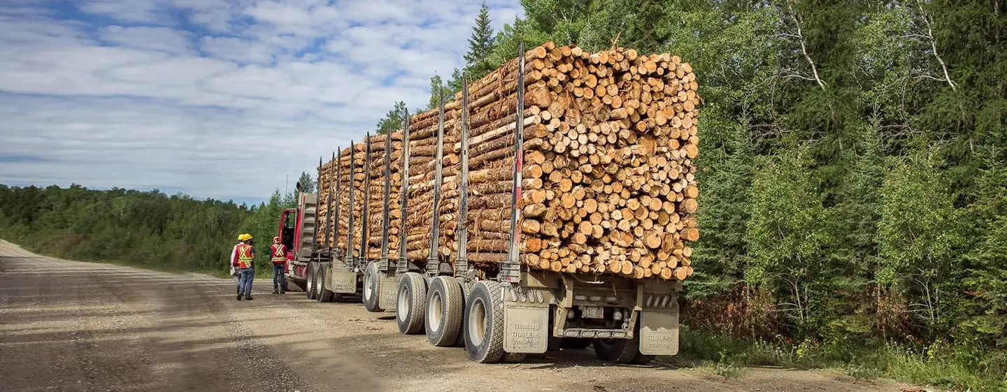 Forestry Wood Transport