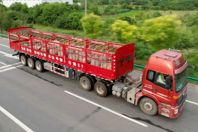 SF trailer news-9-Lightweight semi-trailers have become a trend that all semi-trailer manufacturers are competing to develop